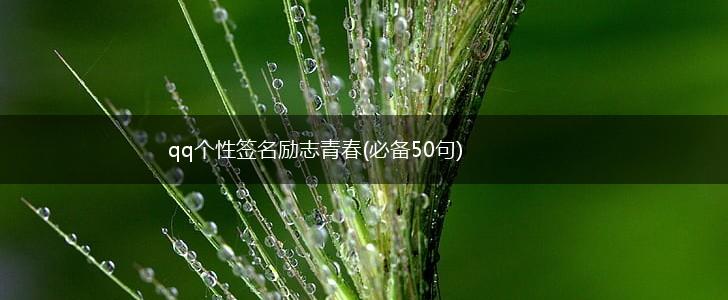 qq个性签名励志青春(必备50句),第1张