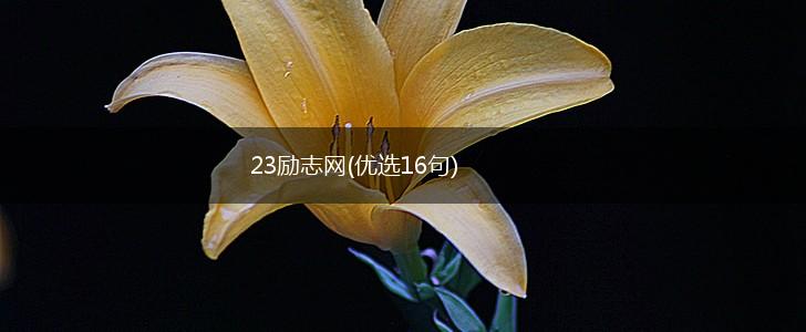 23励志网(优选16句),第1张