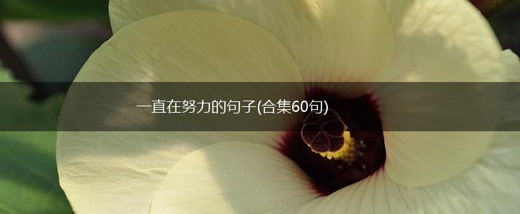 一直在努力的句子(合集60句),第1张