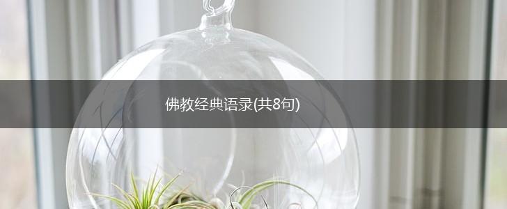佛教经典语录(共8句),第1张