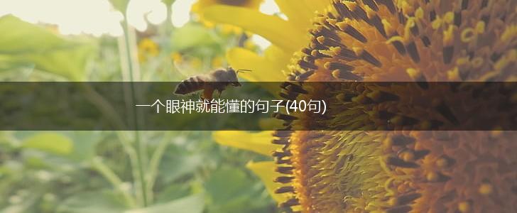 一个眼神就能懂的句子(40句),第1张