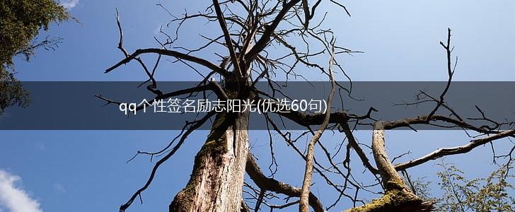 qq个性签名励志阳光(优选60句),第1张