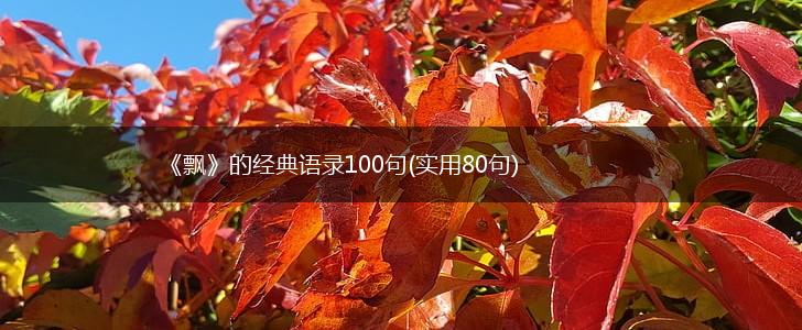 《飘》的经典语录100句(实用80句),第1张