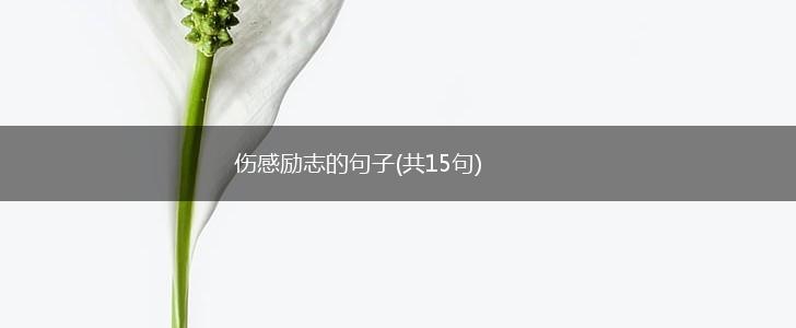 伤感励志的句子(共15句),第1张