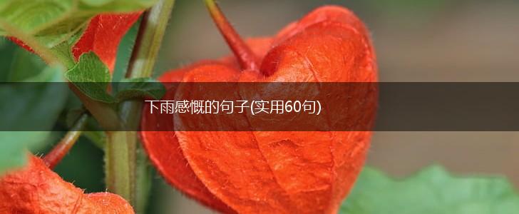 下雨感慨的句子(实用60句),第1张