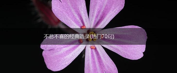 不悲不喜的经典语录(热门70句),第1张