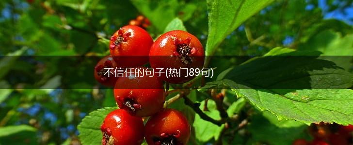 不信任的句子(热门89句),第1张