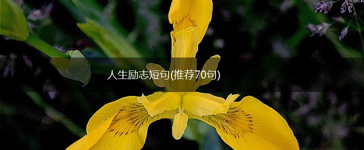 人生励志短句(推荐70句),第1张