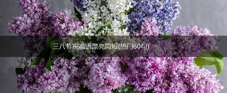 三八节祝福语漂亮简短(热门60句),第1张