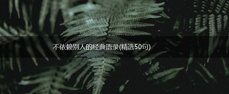 不依赖别人的经典语录(精选50句),第1张