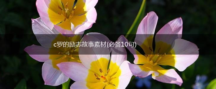 c罗的励志故事素材(必备10句),第1张