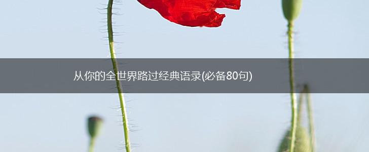 从你的全世界路过经典语录(必备80句),第1张
