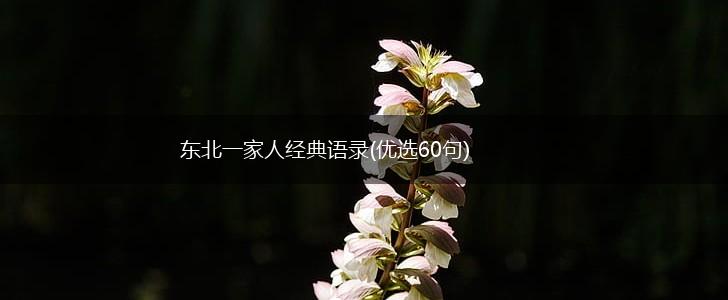 东北一家人经典语录(优选60句),第1张