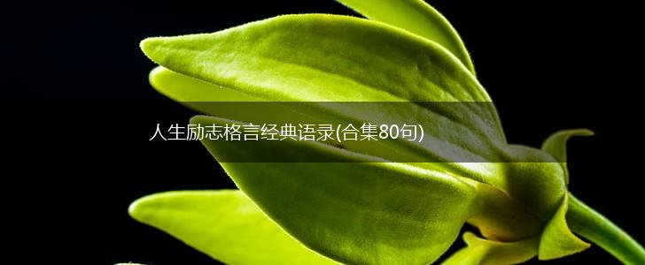 人生励志格言经典语录(合集80句),第1张