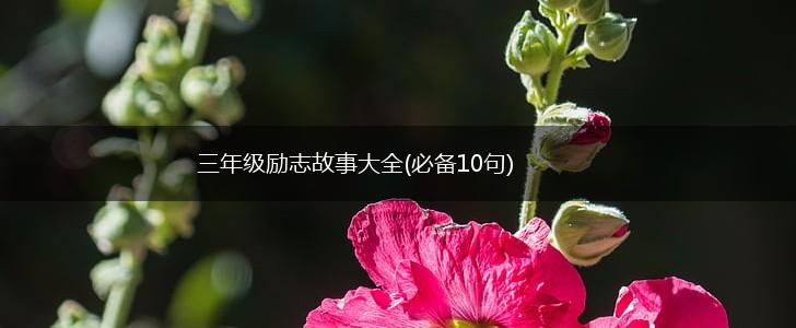 三年级励志故事大全(必备10句),第1张