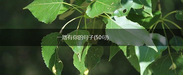 一路有你的句子(50句),第1张
