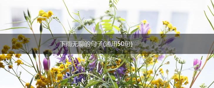 下雨无聊的句子(通用50句),第1张