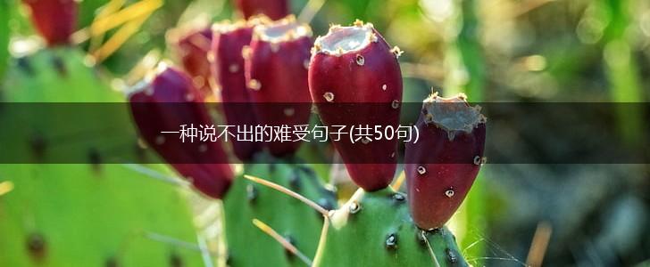 一种说不出的难受句子(共50句),第1张