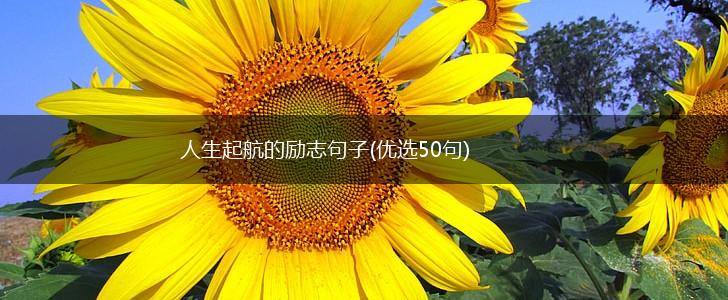 人生起航的励志句子(优选50句),第1张