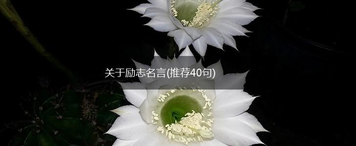 关于励志名言(推荐40句),第1张