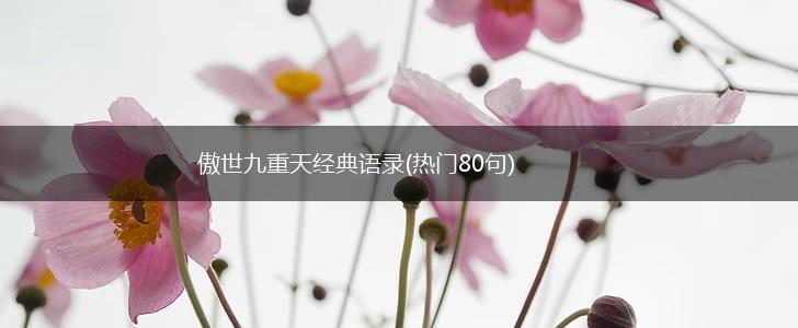 傲世九重天经典语录(热门80句),第1张