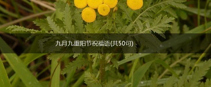 九月九重阳节祝福语(共50句),第1张