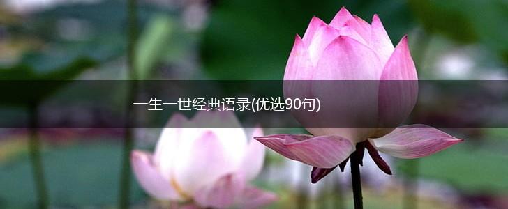 一生一世经典语录(优选90句),第1张