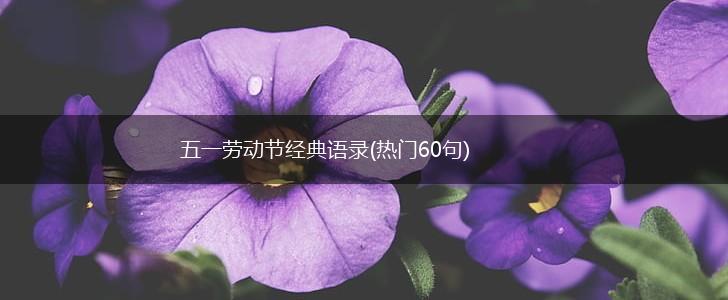五一劳动节经典语录(热门60句),第1张