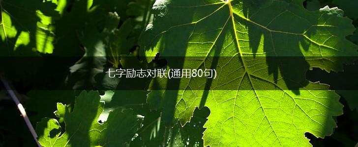 七字励志对联(通用80句),第1张