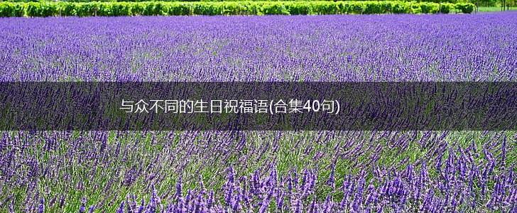 与众不同的生日祝福语(合集40句),第1张
