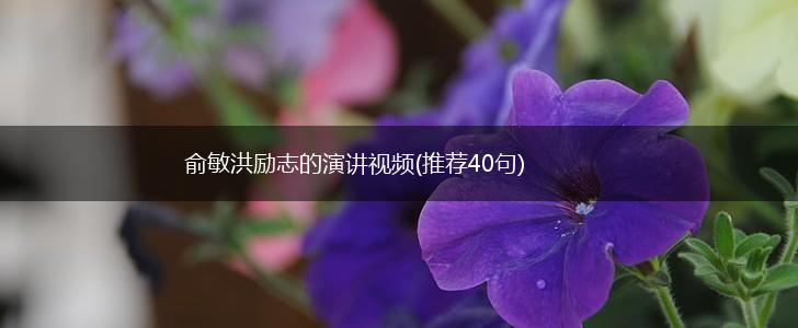 俞敏洪励志的演讲视频(推荐40句),第1张