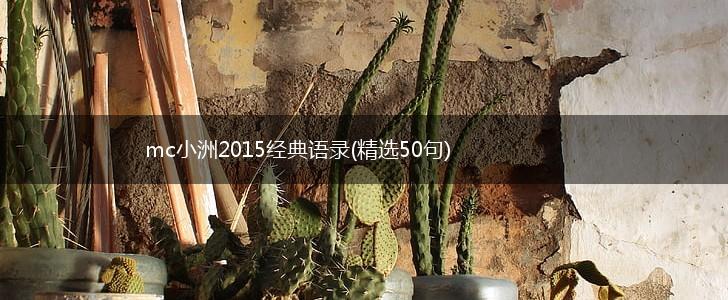 mc小洲2015经典语录(精选50句),第1张