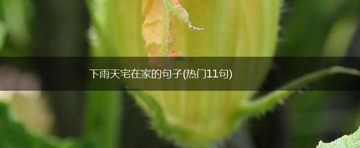 下雨天宅在家的句子(热门11句),第1张