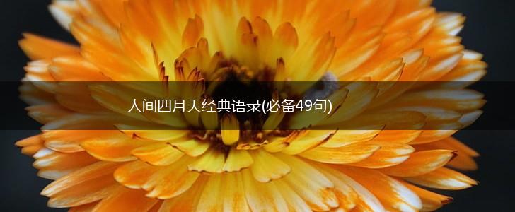 人间四月天经典语录(必备49句),第1张