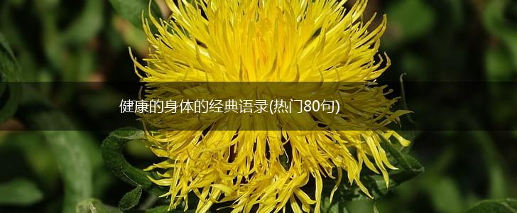健康的身体的经典语录(热门80句),第1张