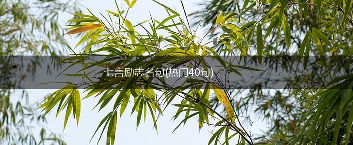 七言励志名句(热门40句),第1张