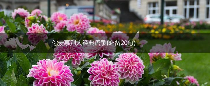 你羡慕别人经典语录(必备20句),第1张