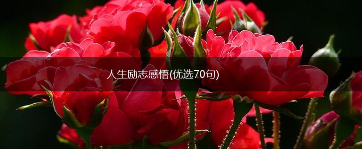 人生励志感悟(优选70句),第1张