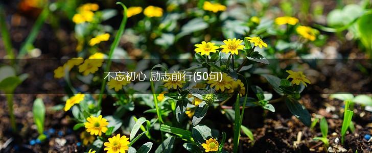 不忘初心 励志前行(50句),第1张