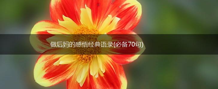 做后妈的感悟经典语录(必备70句),第1张