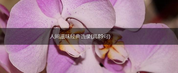 人间滋味经典语录(共89句),第1张