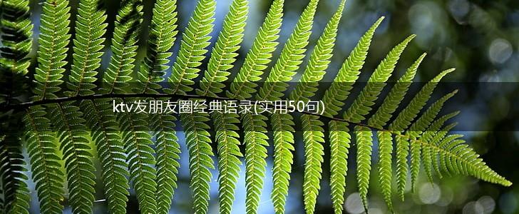 ktv发朋友圈经典语录(实用50句),第1张