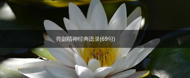 亮剑精神经典语录(69句),第1张