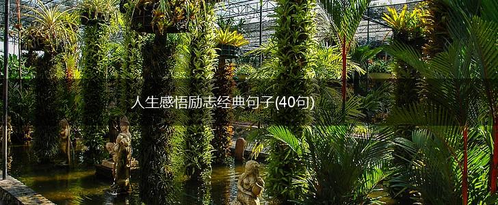 人生感悟励志经典句子(40句),第1张