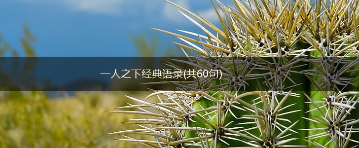 一人之下经典语录(共60句),第1张