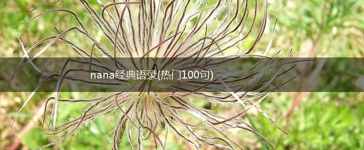 nana经典语录(热门100句),第1张