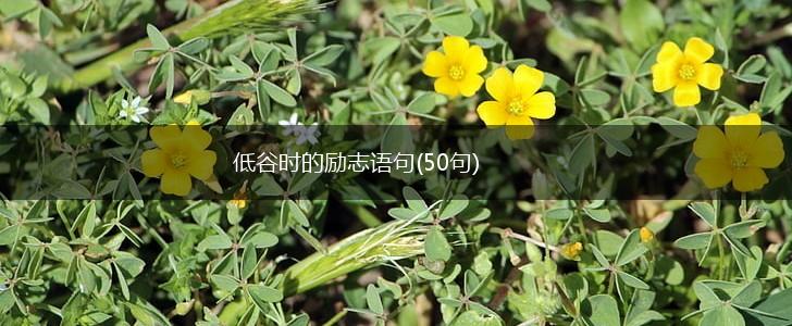 低谷时的励志语句(50句),第1张