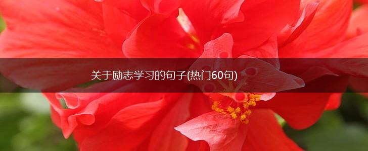 关于励志学习的句子(热门60句),第1张