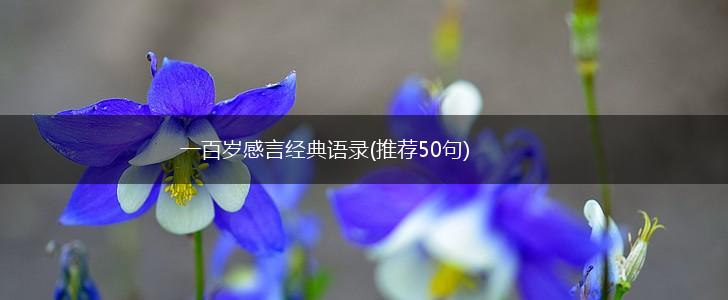 一百岁感言经典语录(推荐50句),第1张