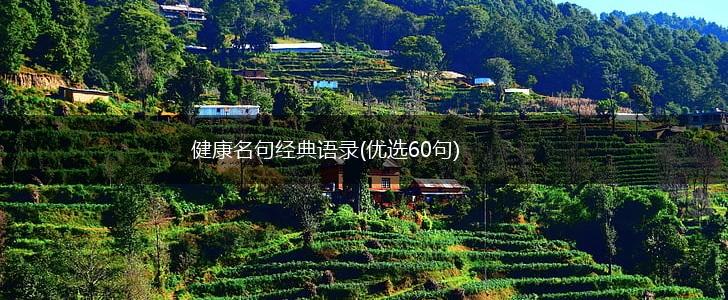 健康名句经典语录(优选60句),第1张